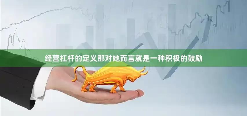 经营杠杆的定义那对她而言就是一种积极的鼓励